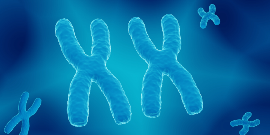 Cromosomas que representan la tecnología telomérica usada en el tratamiento LUX 5 RESET de Eternia Derma Center